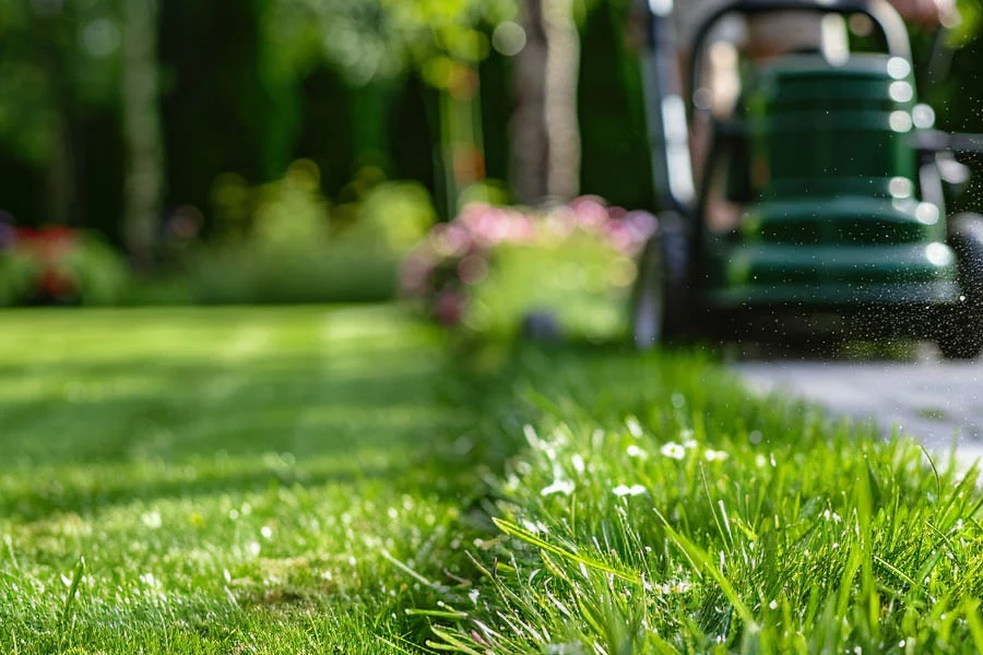 self-propelled electric lawn mower with battery and charger